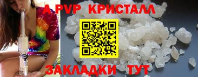 прущие грибы Заводоуковск