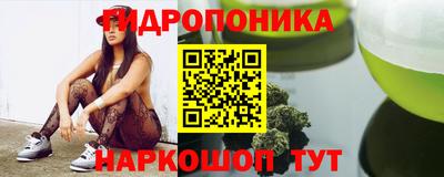 индика Жуковский