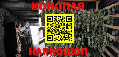 индика Жуковский