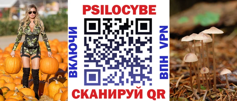 сколько стоит  Миллерово  Галлюциногенные грибы прущие грибы 