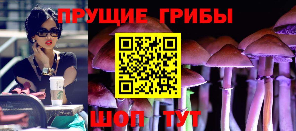Галлюциногенные грибы мухоморы Миллерово