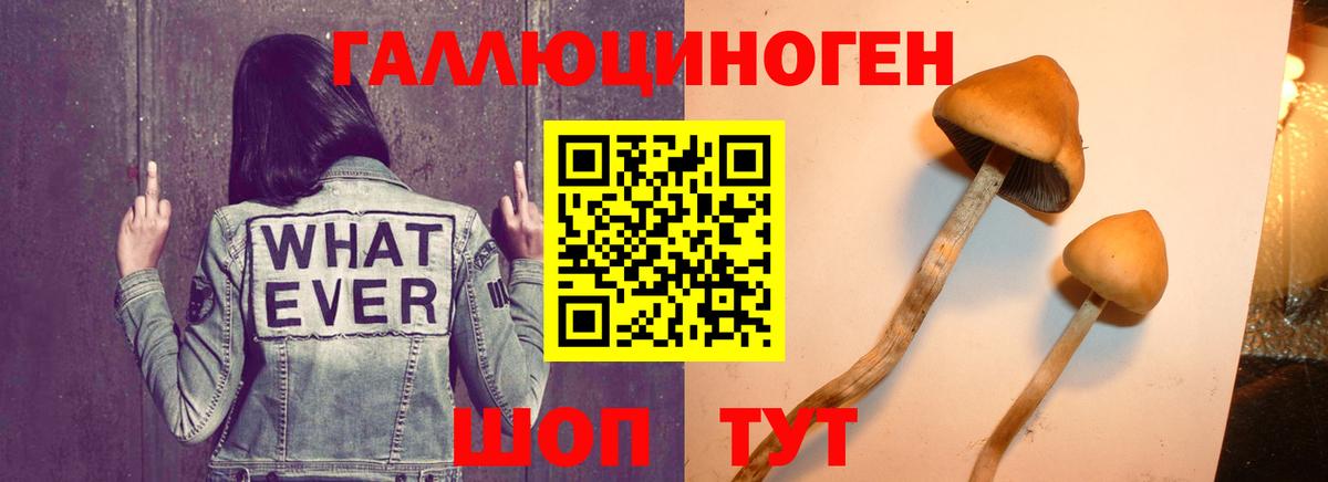 Миллерово  Псилоцибиновые грибы мухоморы  купить наркотики цена  Вход с VPN 